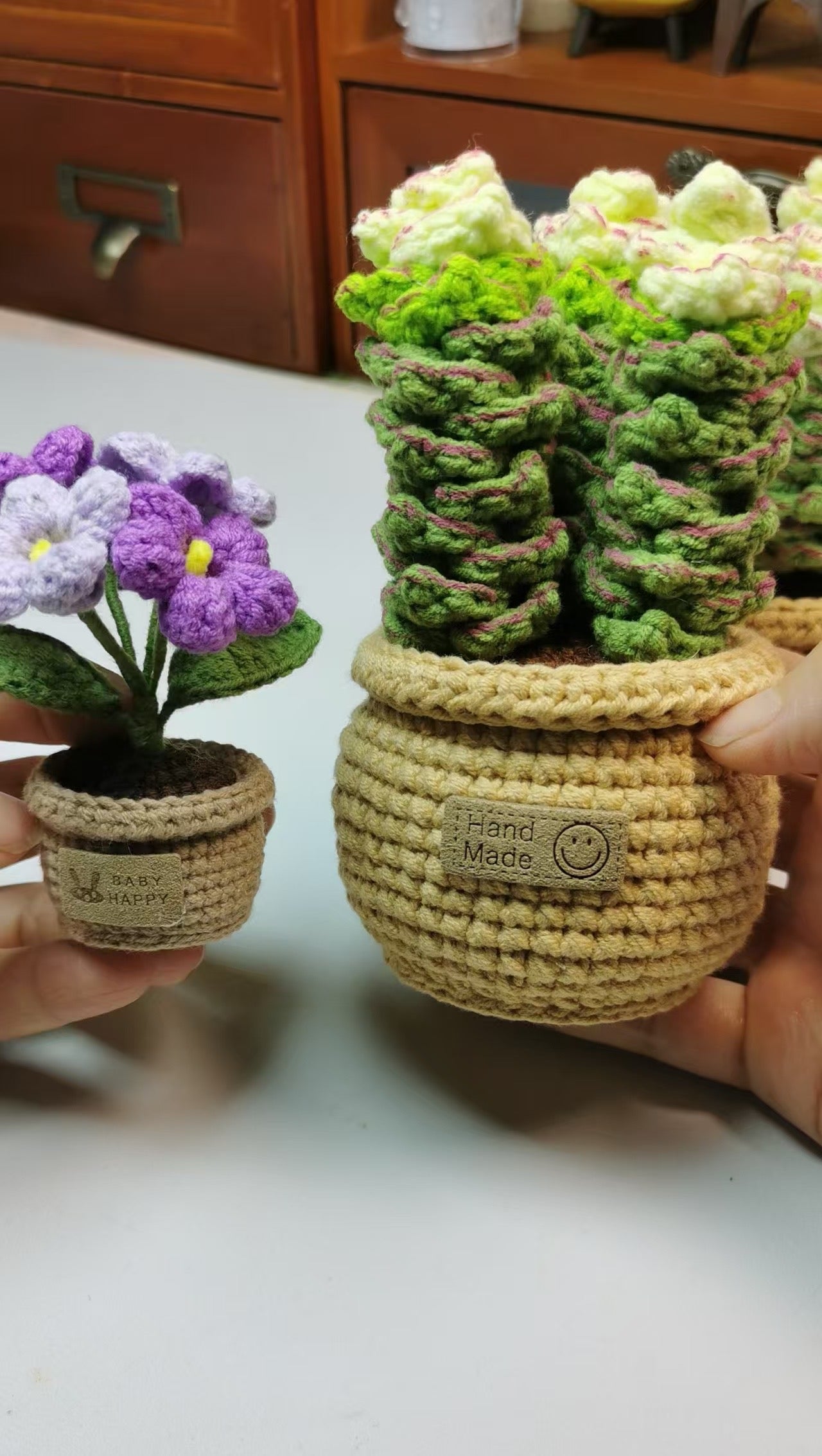 Crochet Succulent Plant with Crochet Pot(13 cm/5.1 inch)