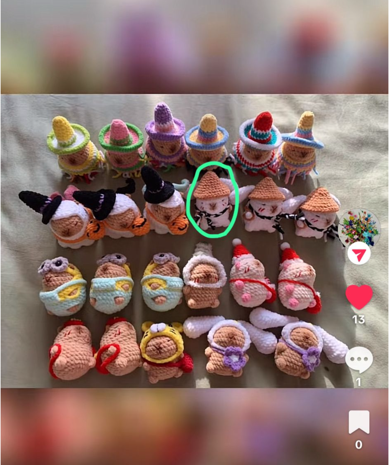 Checkout link for Connie