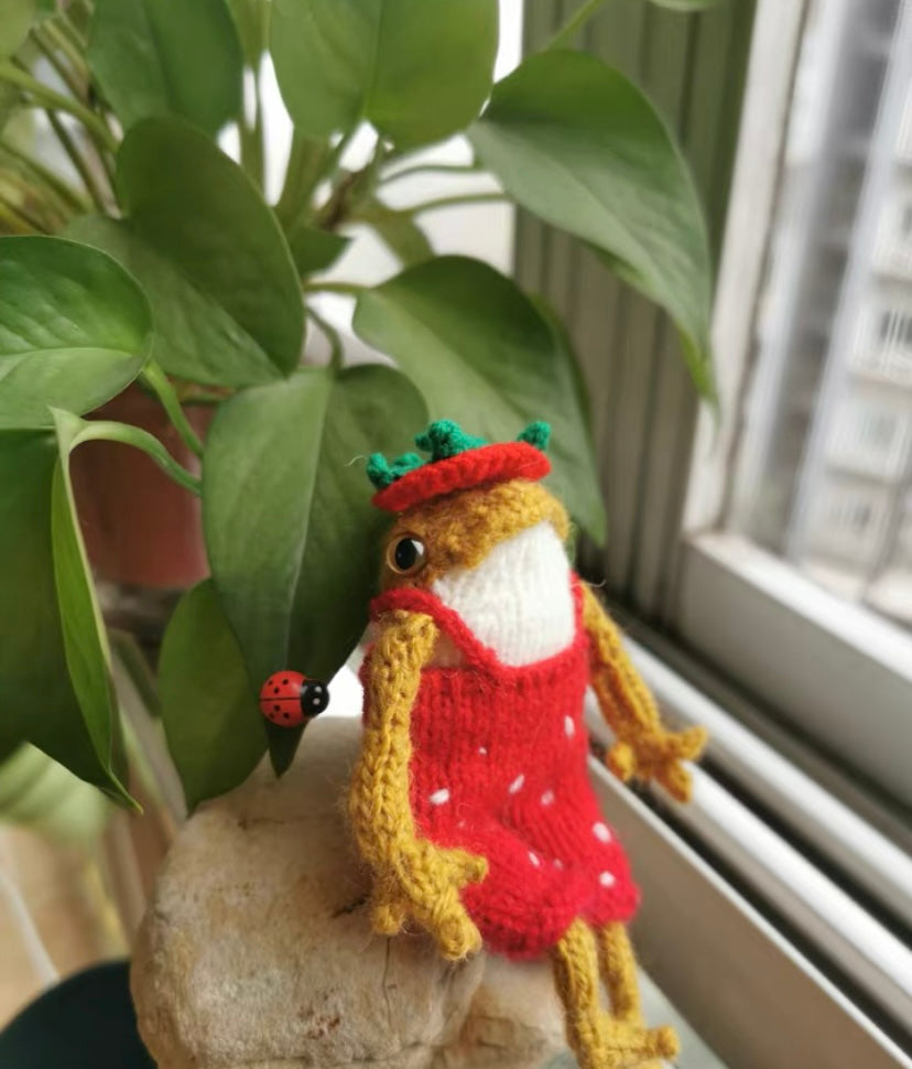 Knitted Frog with Outfit