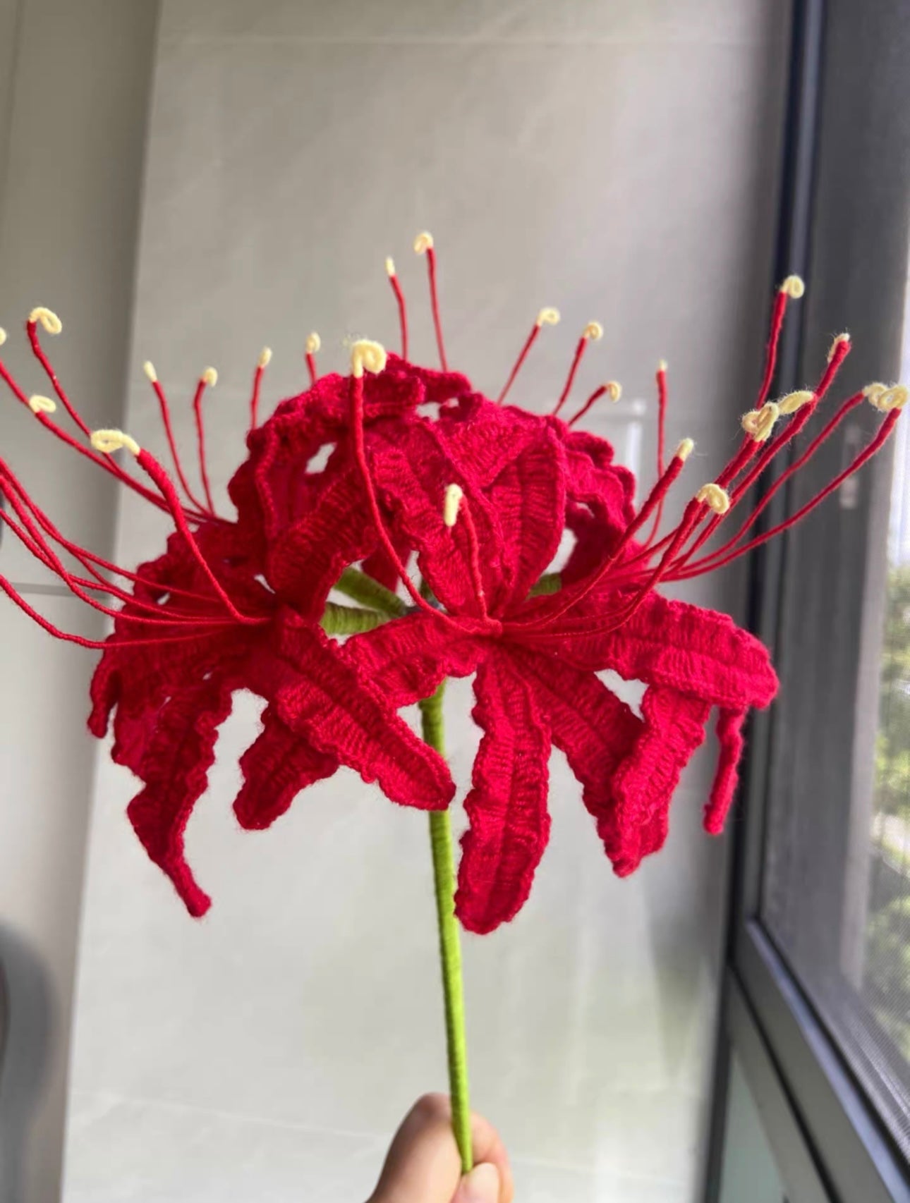Spider Lily with Long Stem/Lace Cotton(5 flower/30 petals)