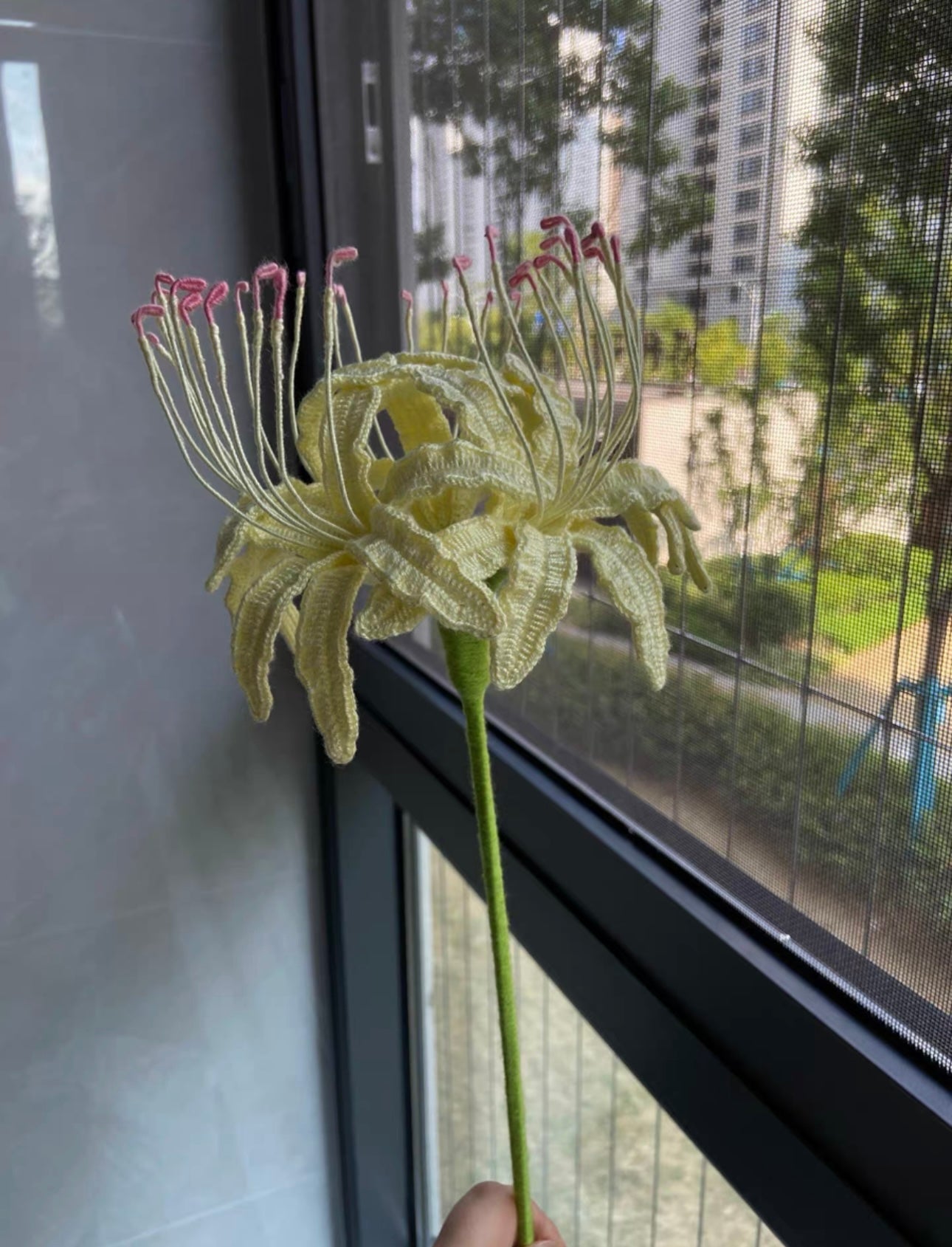 Spider Lily with Long Stem/Lace Cotton(5 flower/30 petals)