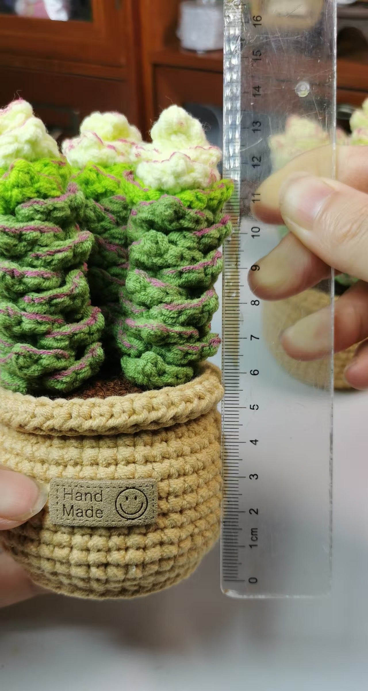 Crochet Succulent Plant with Crochet Pot(13 cm/5.1 inch)