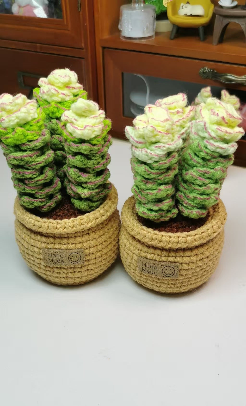 Crochet Succulent Plant with Crochet Pot(13 cm/5.1 inch)