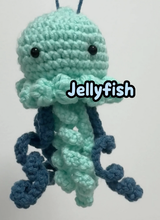 Jellyfish