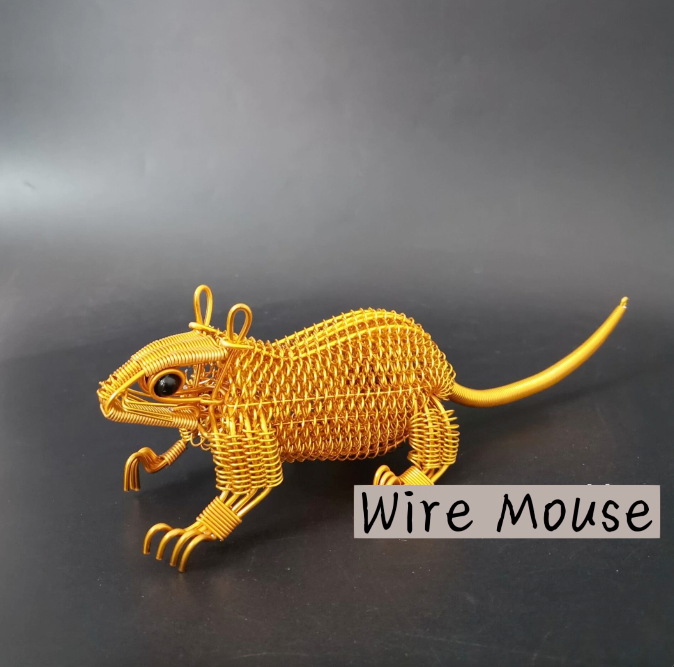 Mouse