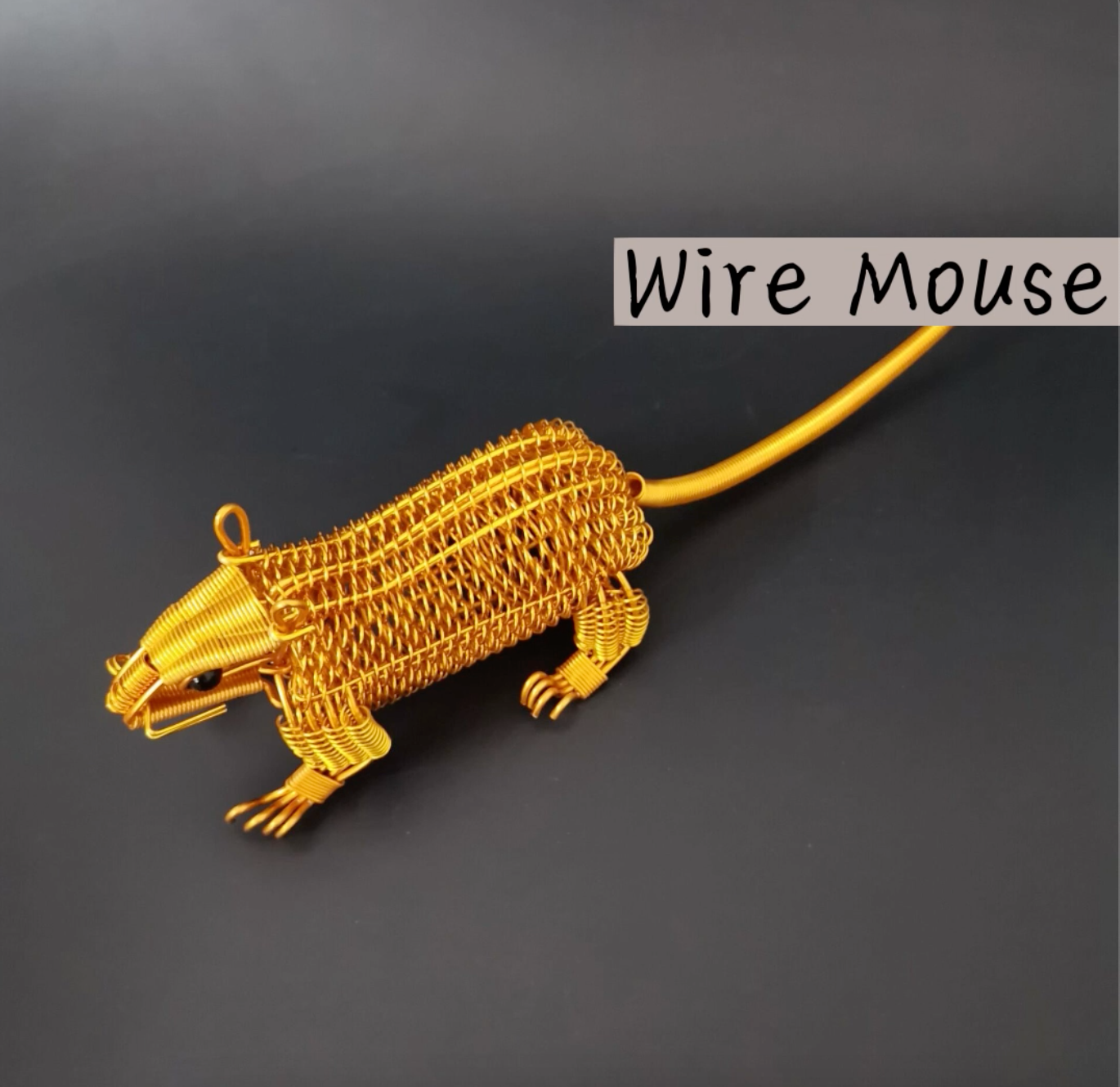 Mouse