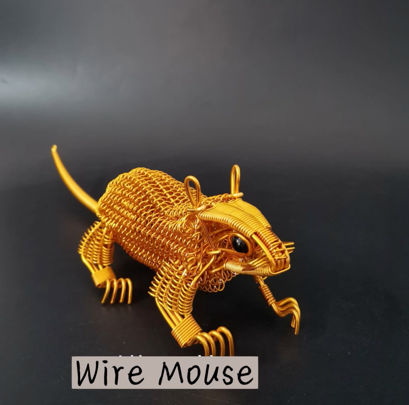 Mouse