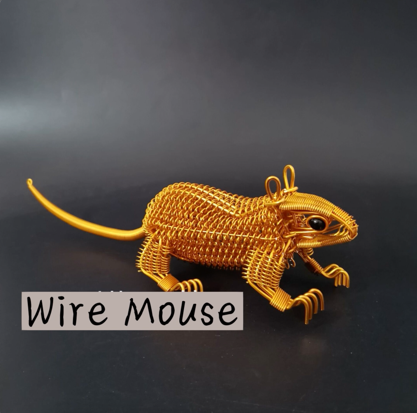 Mouse