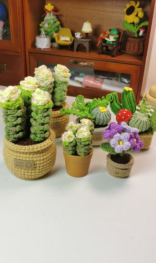 Crochet Succulent Plant with Crochet Pot(13 cm/5.1 inch)