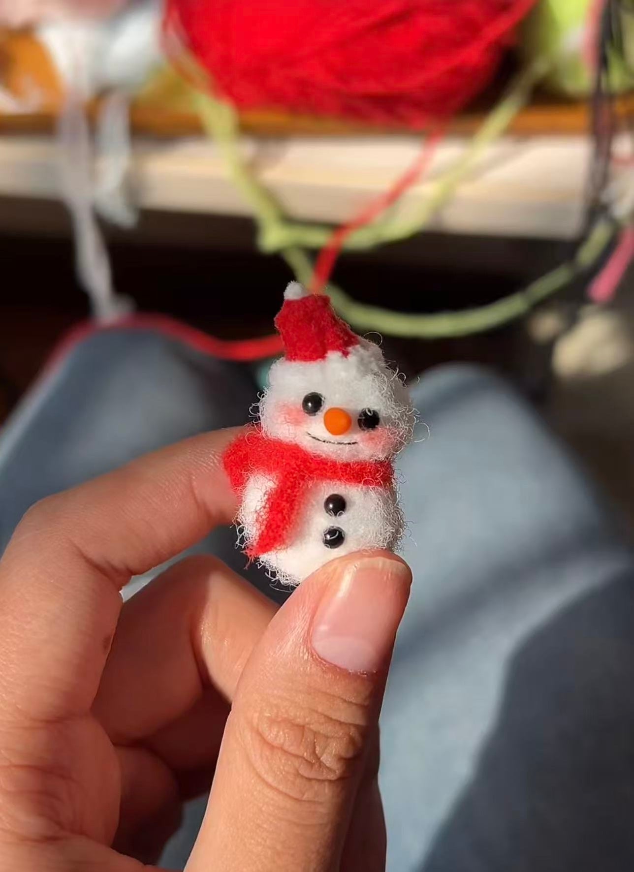 Crochet/Knitted Crafts for Connie