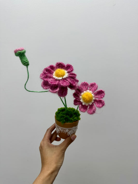 Crochet Flower(Mohair) with Pot