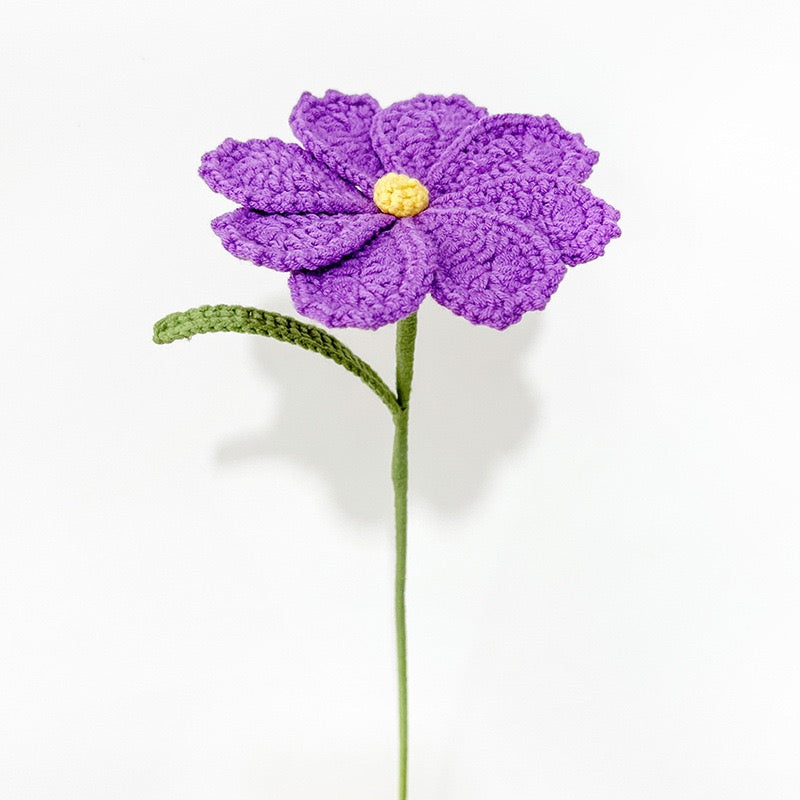 Galsang flower with Long Stem