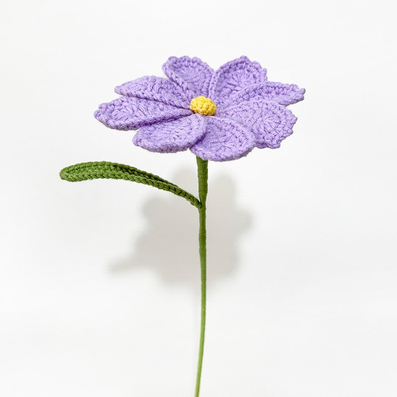 Galsang flower with Long Stem