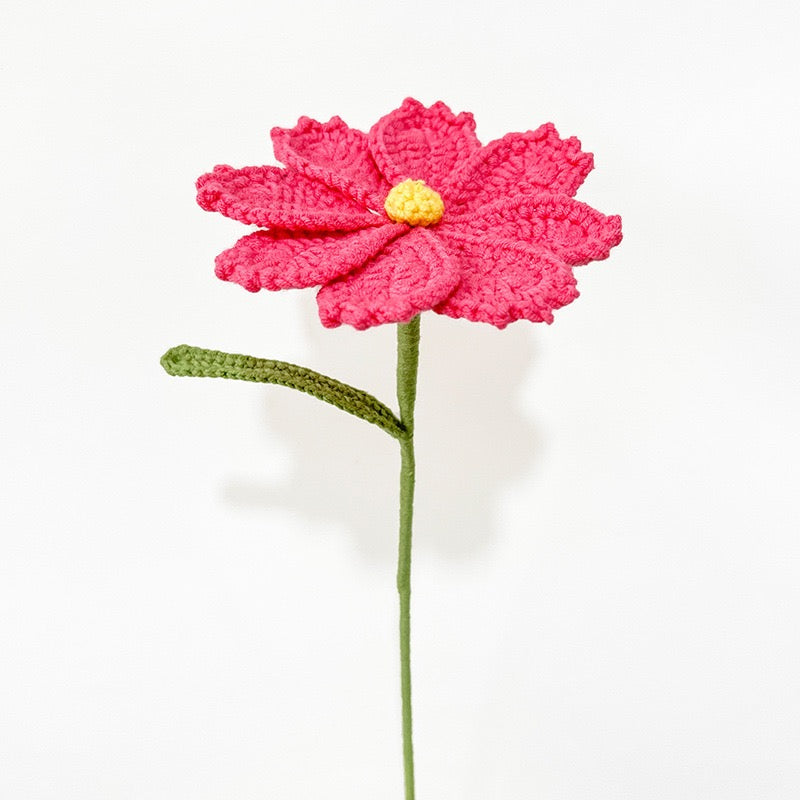 Galsang flower with Long Stem