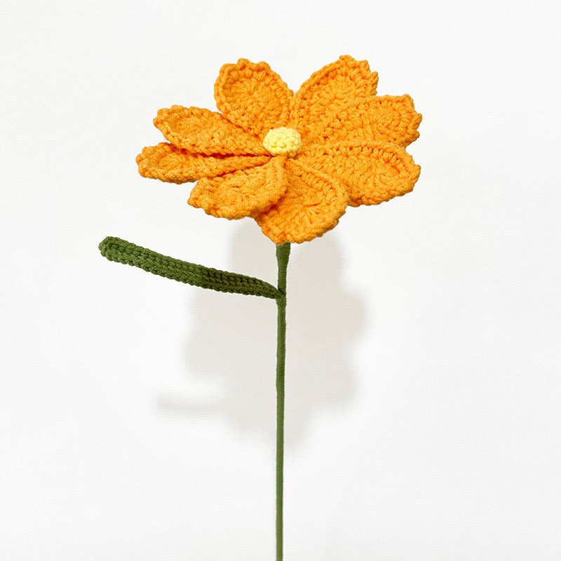 Galsang flower with Long Stem