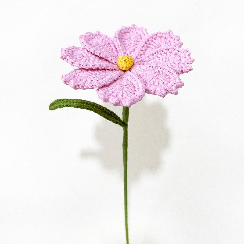 Galsang flower with Long Stem