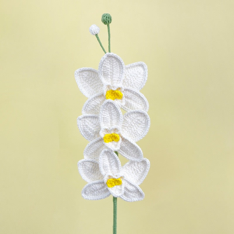 White Orchid with Long Stem