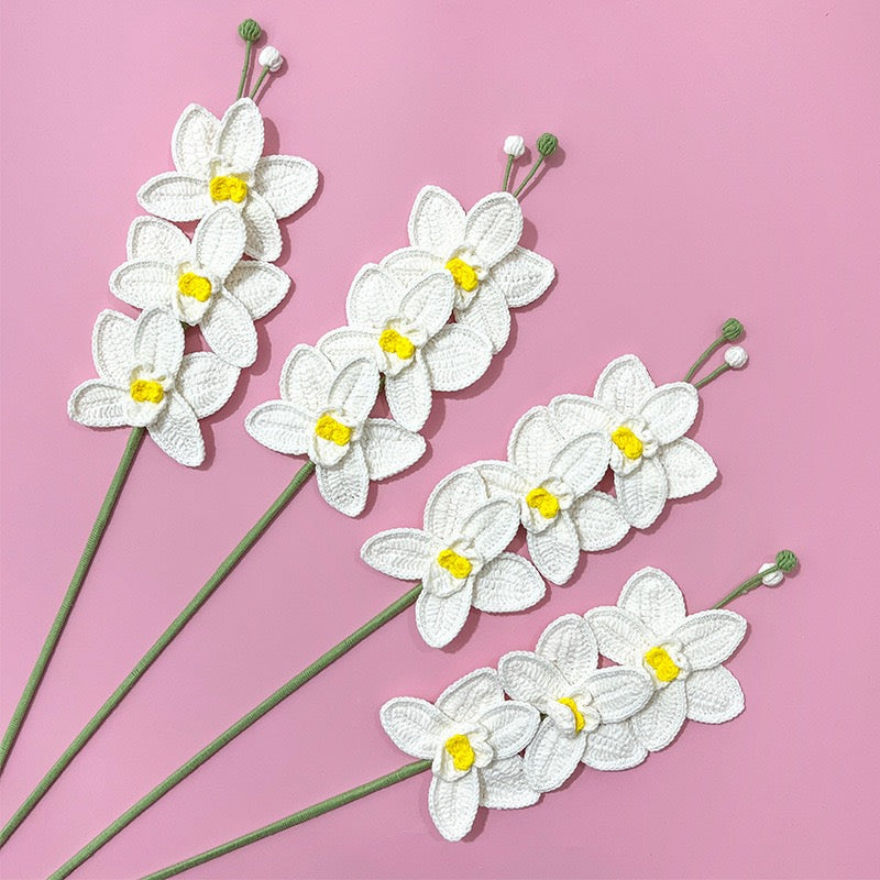 White Orchid with Long Stem