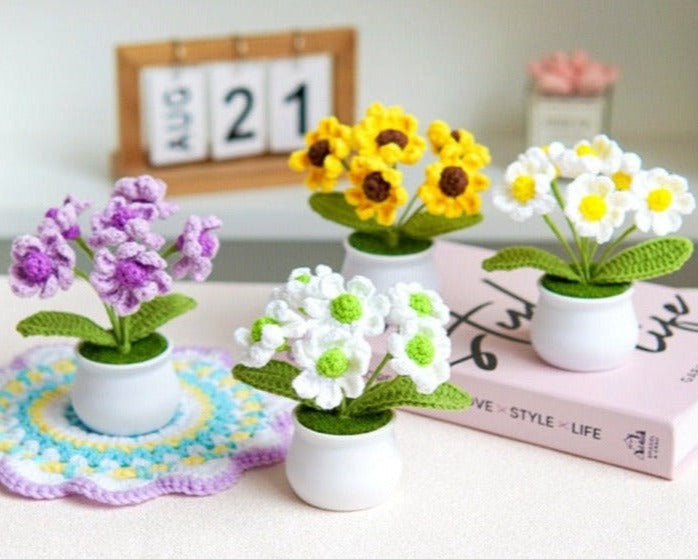 Daisy with White Pot