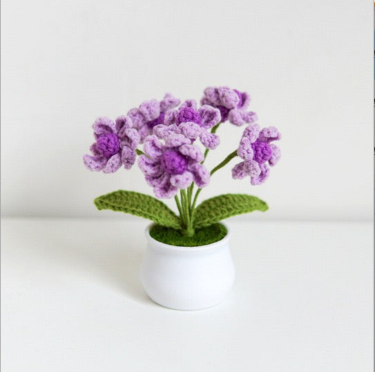 Daisy with White Pot