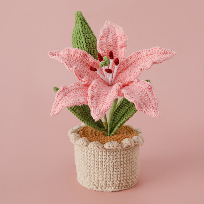 Lily with Crochet Pot