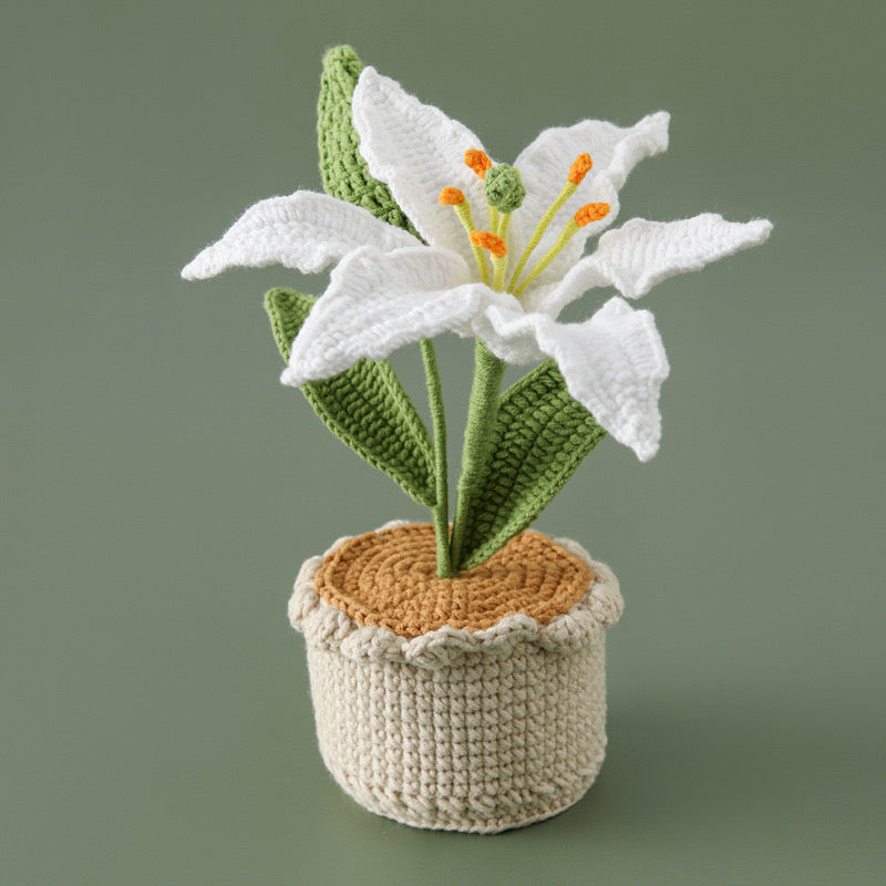 Lily with Crochet Pot