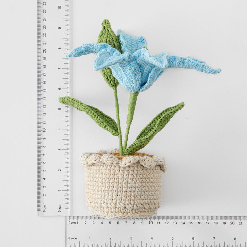 Lily with Crochet Pot