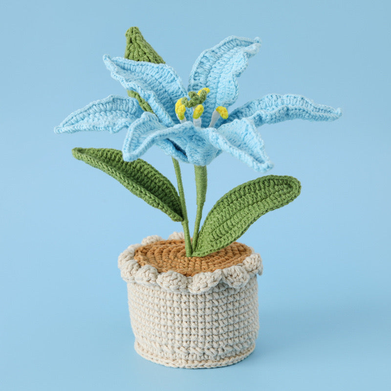 Lily with Crochet Pot