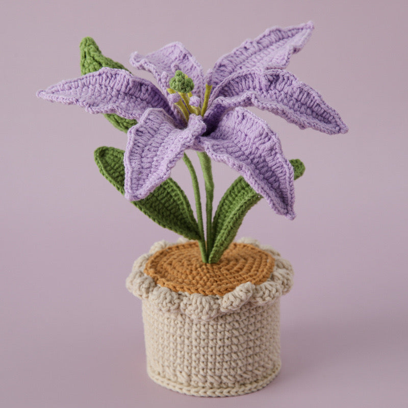 Lily with Crochet Pot