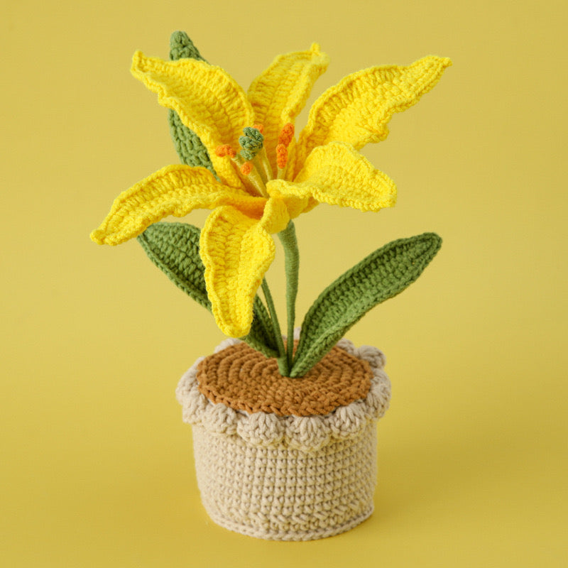 Lily with Crochet Pot