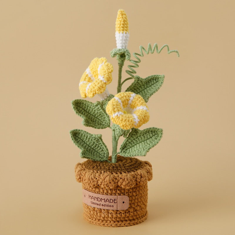 Morning Glory with Crochet Pot