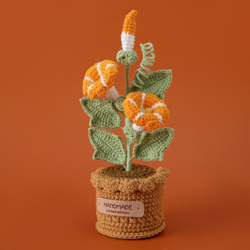 Morning Glory with Crochet Pot