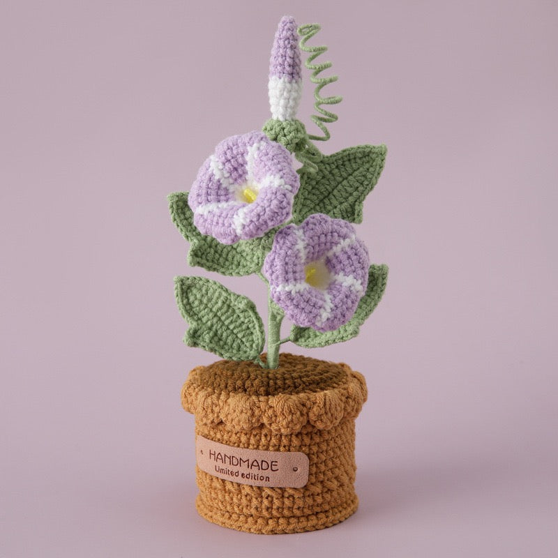 Morning Glory with Crochet Pot