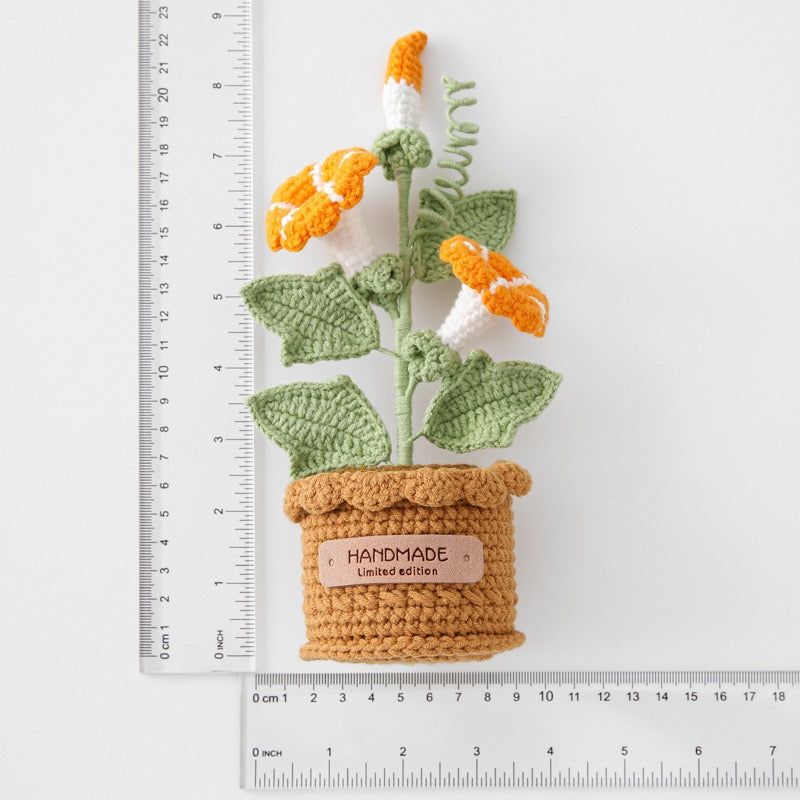 Morning Glory with Crochet Pot