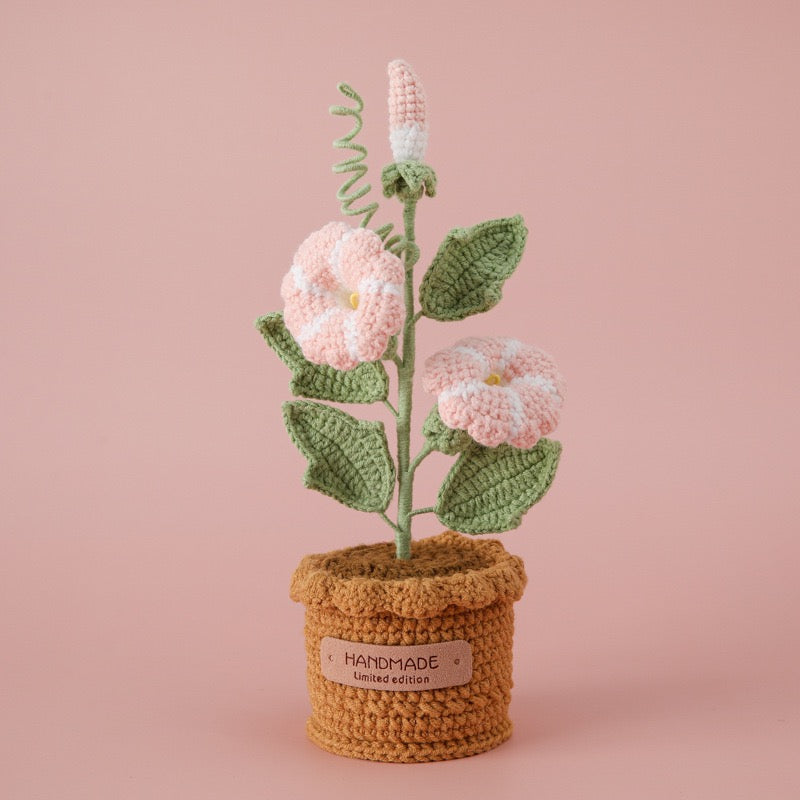 Morning Glory with Crochet Pot