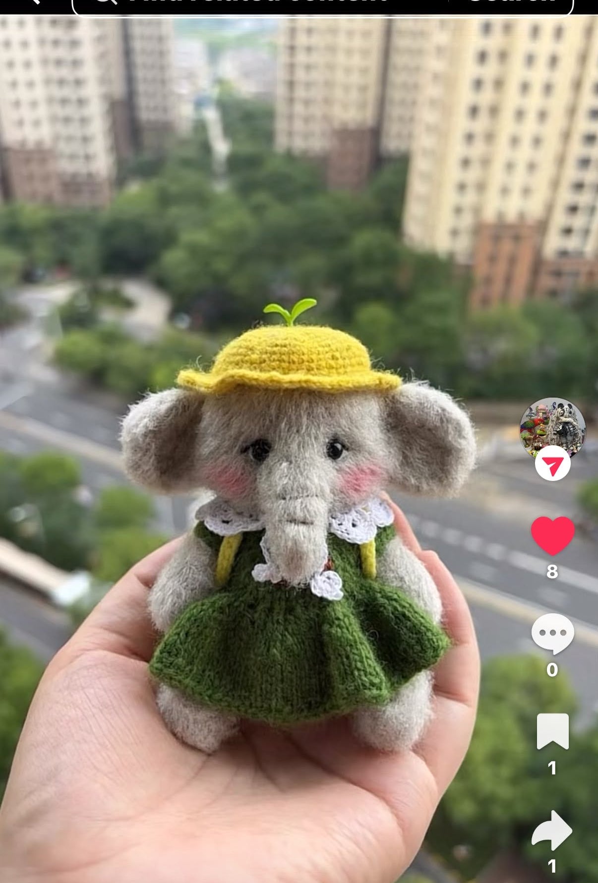 Crochet/Knitted Crafts for Connie